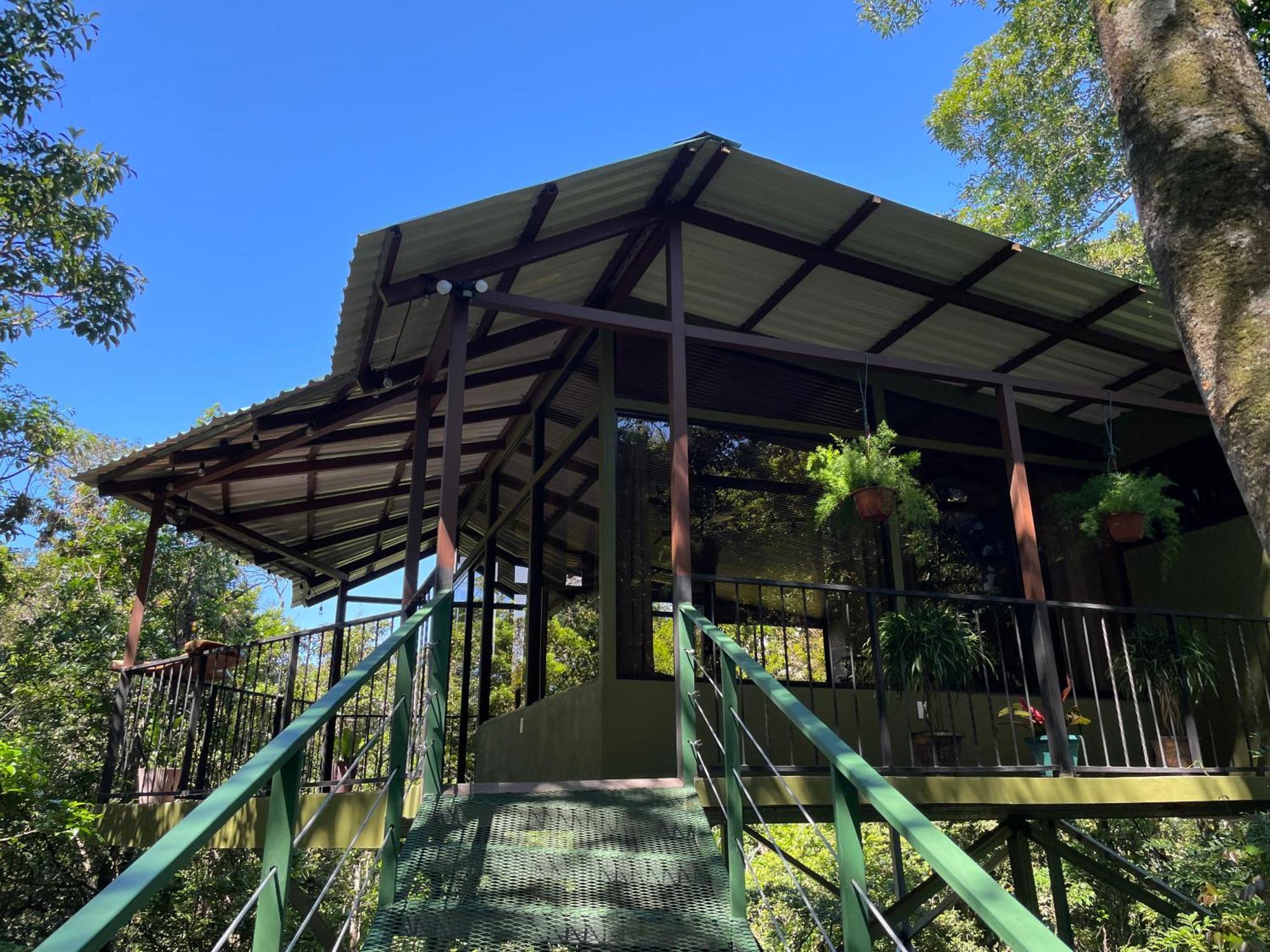 Cabanas La Montana Monteverde Eksteriør bilde