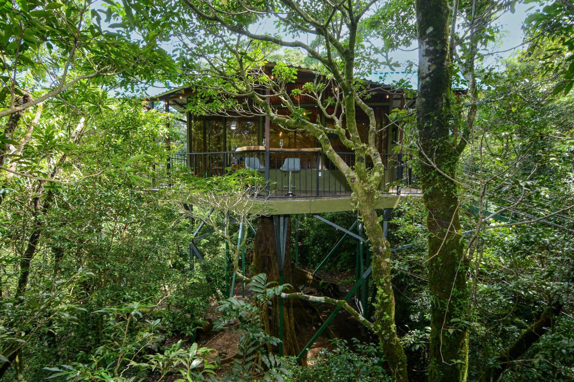 Cabanas La Montana Monteverde Eksteriør bilde