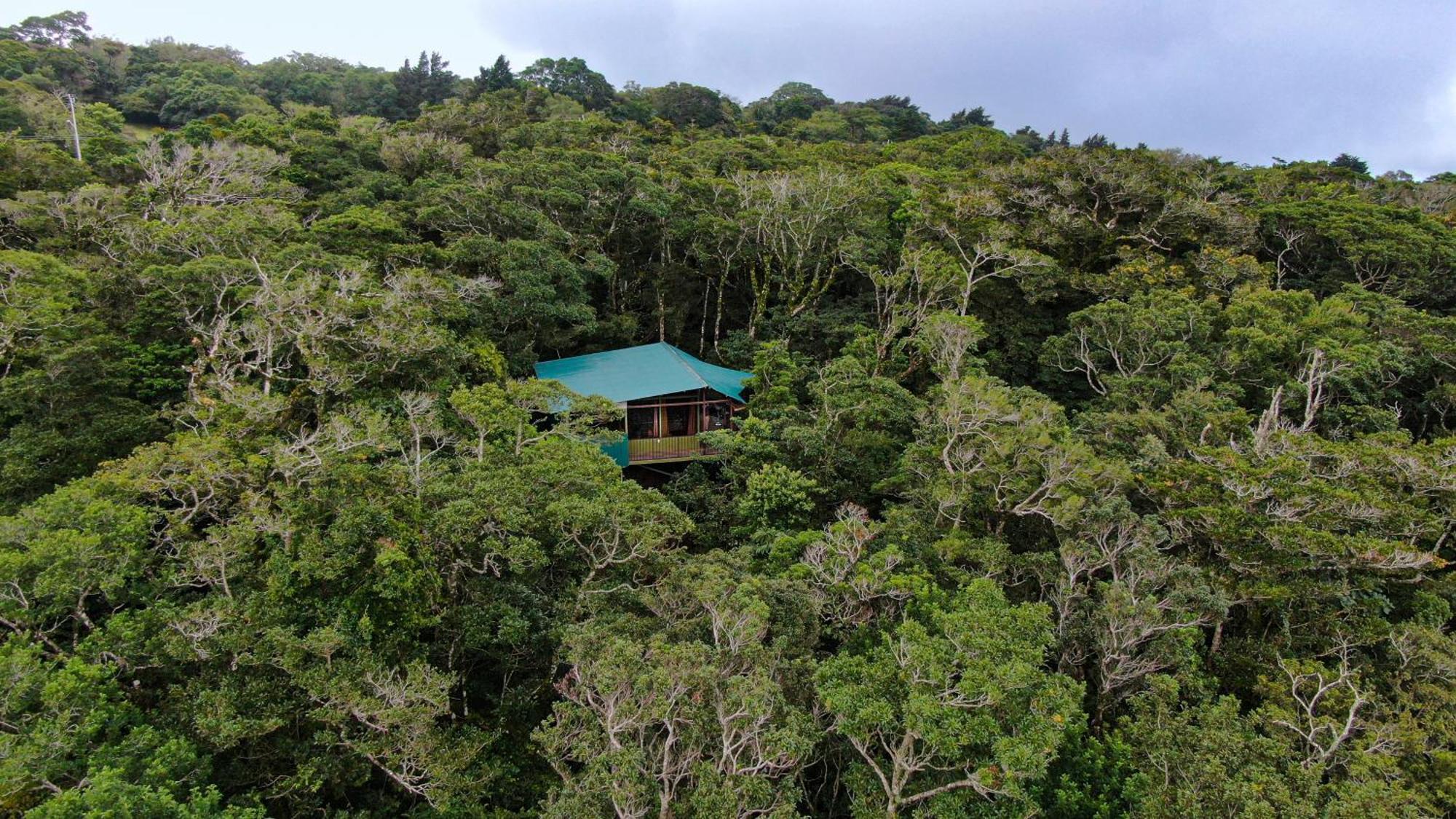 Cabanas La Montana Monteverde Eksteriør bilde