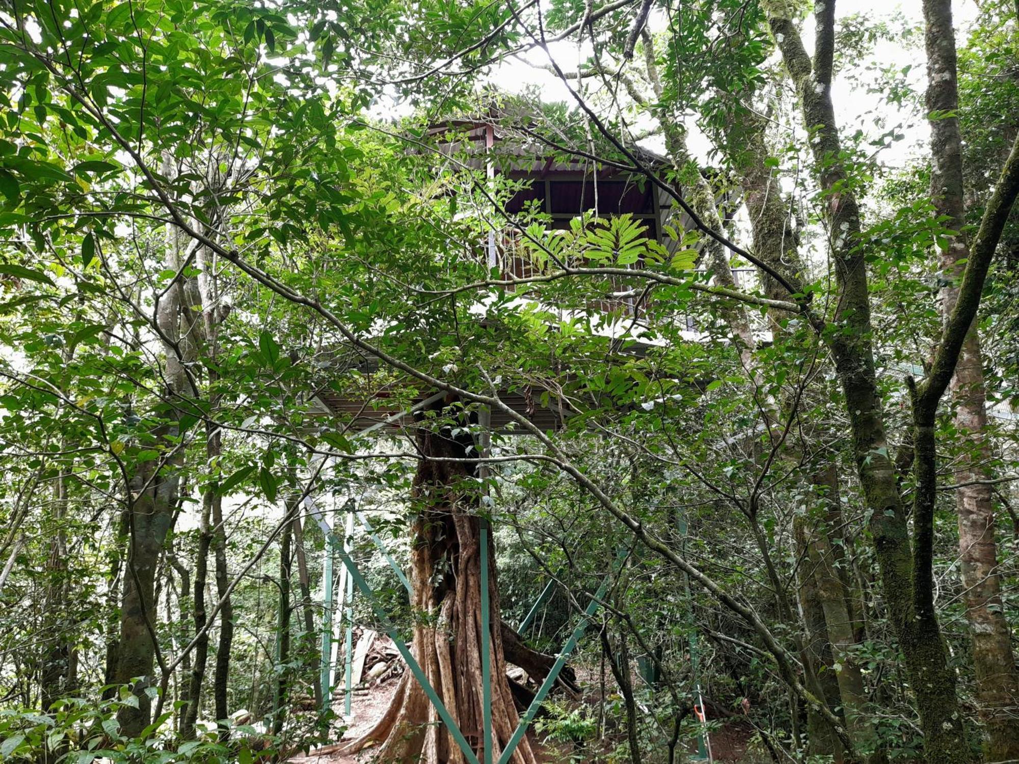 Cabanas La Montana Monteverde Eksteriør bilde