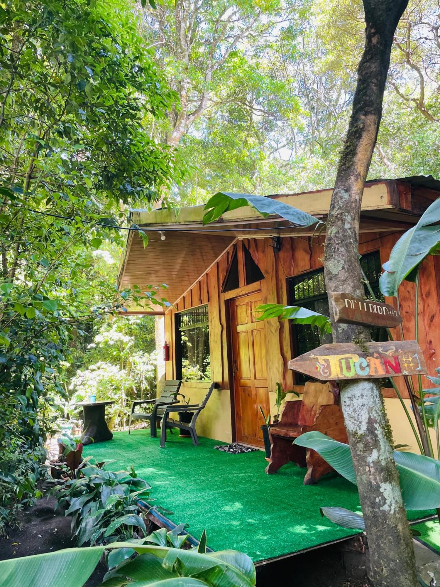 Cabanas La Montana Monteverde Eksteriør bilde