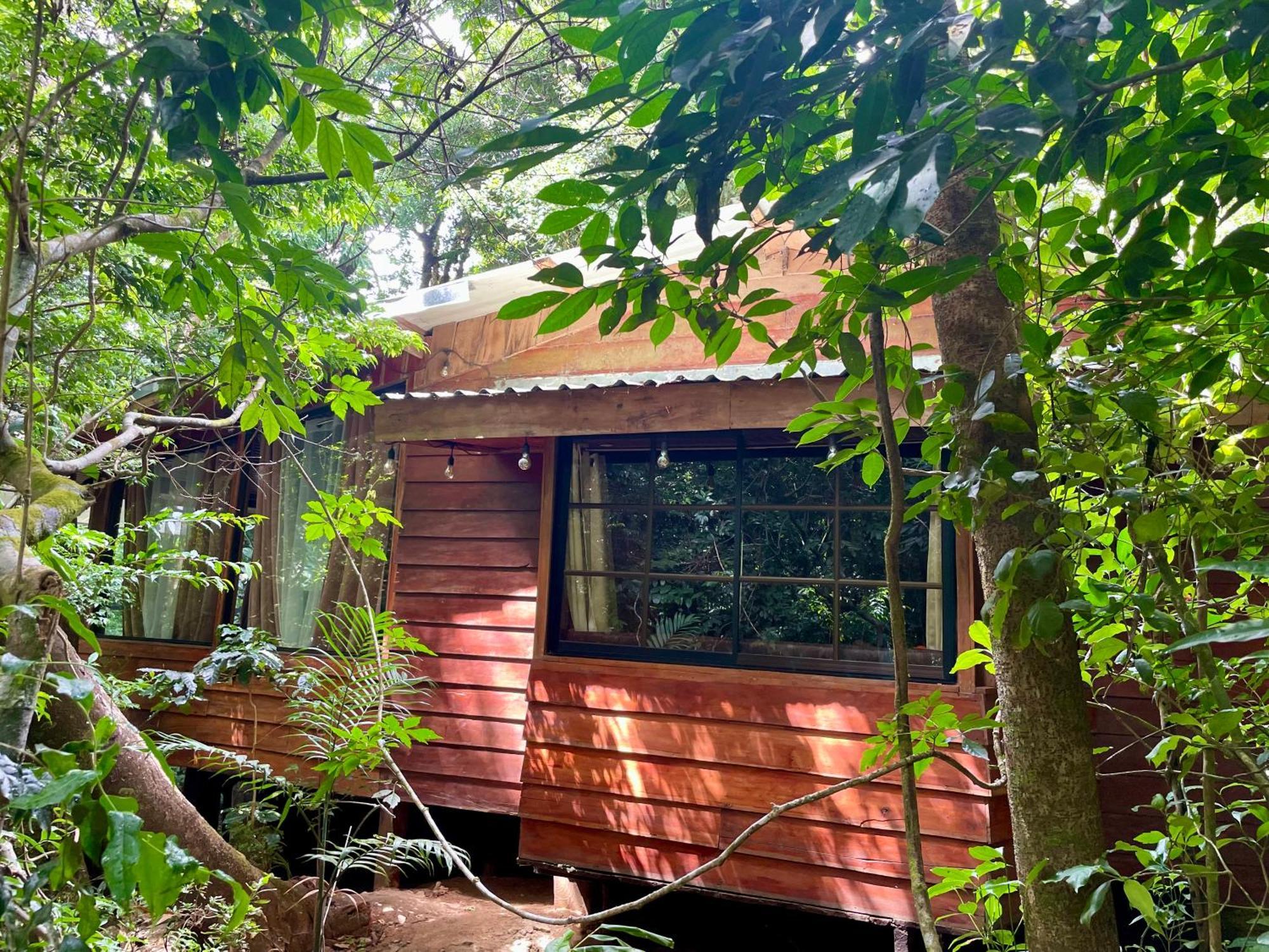 Cabanas La Montana Monteverde Eksteriør bilde